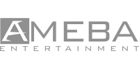 Visa partner logo