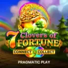 7 Clovers of Fortune